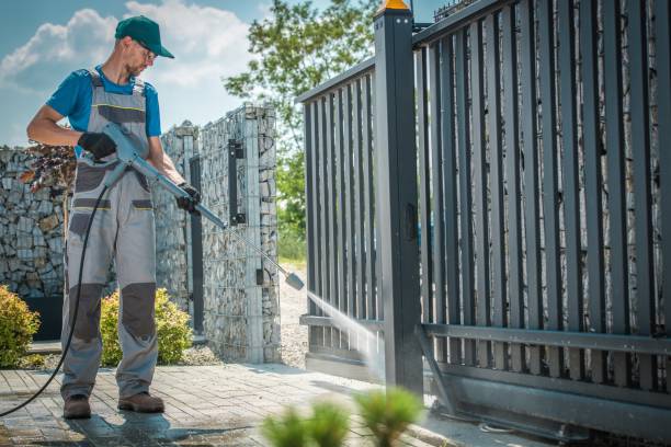 Best Sidewalk and Walkway Cleaning  in Allen Park, MI