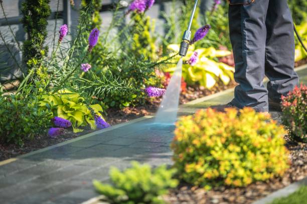 Allen Park, MI Pressure Washing Pros