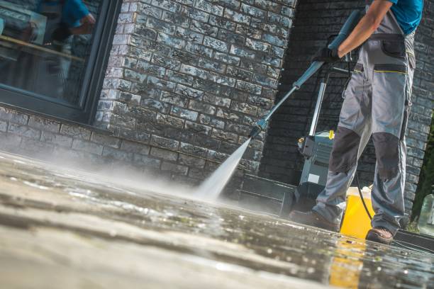 Best House Exterior Washing  in Allen Park, MI