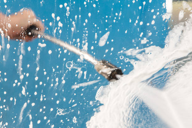 Best Roof Washing  in Allen Park, MI