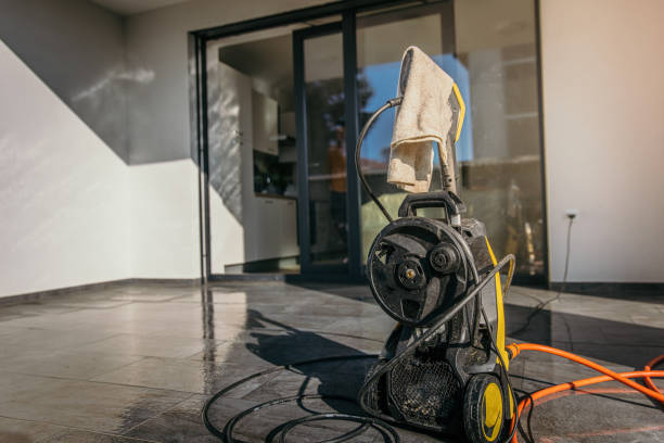 Best Animal Enclosure Cleaning  in Allen Park, MI