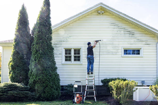 Best Building Exterior Washing  in Allen Park, MI